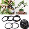 Total 5m For Plant Shapes Black Bonsai Wire Bonsai Training Wire Anodized Aluminum 6 Sizes