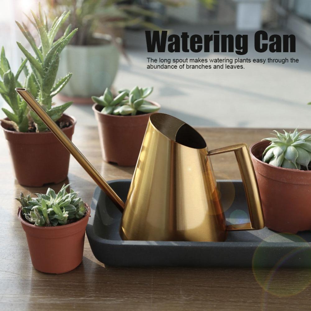 Long Spout Watering Can Stainless Steel Long Spout Watering Can  Flower Care