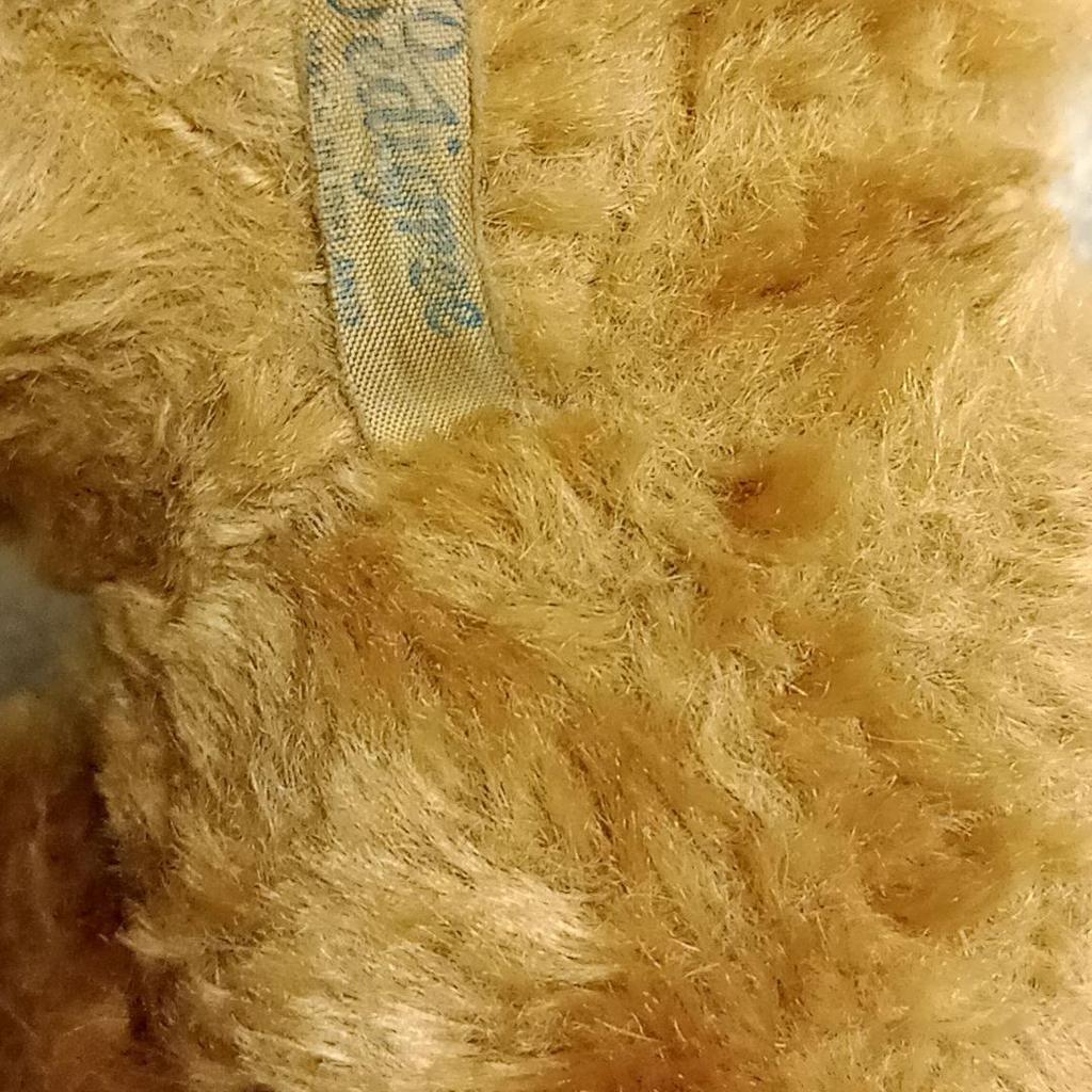 [USED] Pedigree Teddy Bear Vintage Teddy Bear with Bell