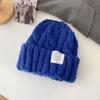 Fried Dough Twists Wool Hat Children Autumn and Winter Students Warm Ear Protection Knitted Hat Lovers Versatile Cold Hat