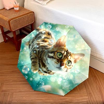 Аксессуары – Зонты