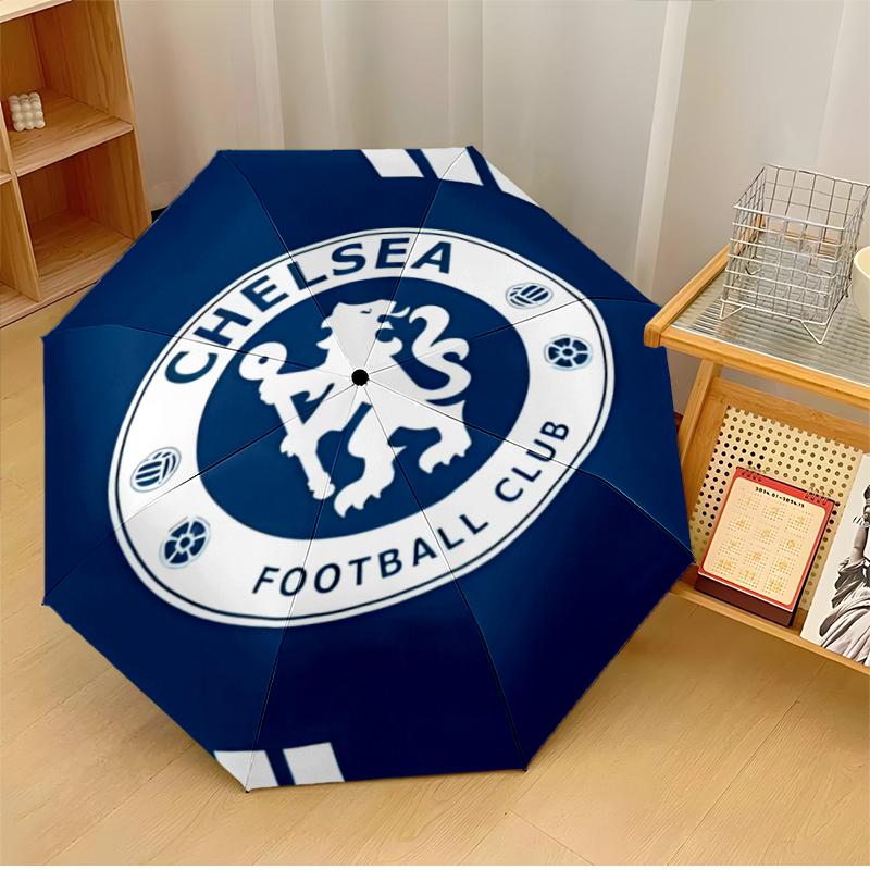 C-Chelsea Umbrella with Automatic Open/Close & Self-8-Rib Heavy-Duty Umbrella, Compact Travel Umbrella Suitable for Outdoor