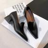 Модная весенняя новая одинарная обувь женская модная остроносая со средней высотой подъема слипоны противоскользящая и износостойкая темперамент квадратный каблук