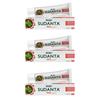 Аюрведическая зубная паста Sudanta Red 100 г X Упаковка из 3 шт. | Травяной уход за полостью рта для свежего дыхания, крепких десен, защиты от кариеса
