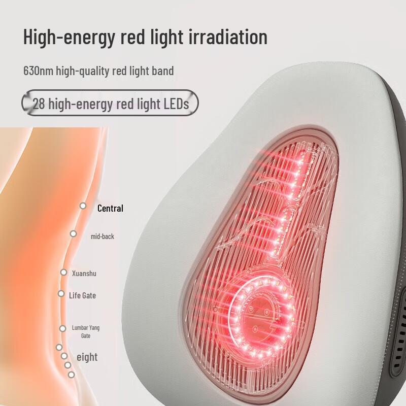 Koaielement Heated Massage Cushion