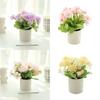 Искусственные цветы Растение в горшке Мини Искусственное растение Декоративные цветочные растения Настольные украшения X3UC
