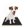 Sandpaper Board Scratch Board Dog Toy Nail Grinding Pad Nail Board Dog Scratch Pad  For Dog Cat