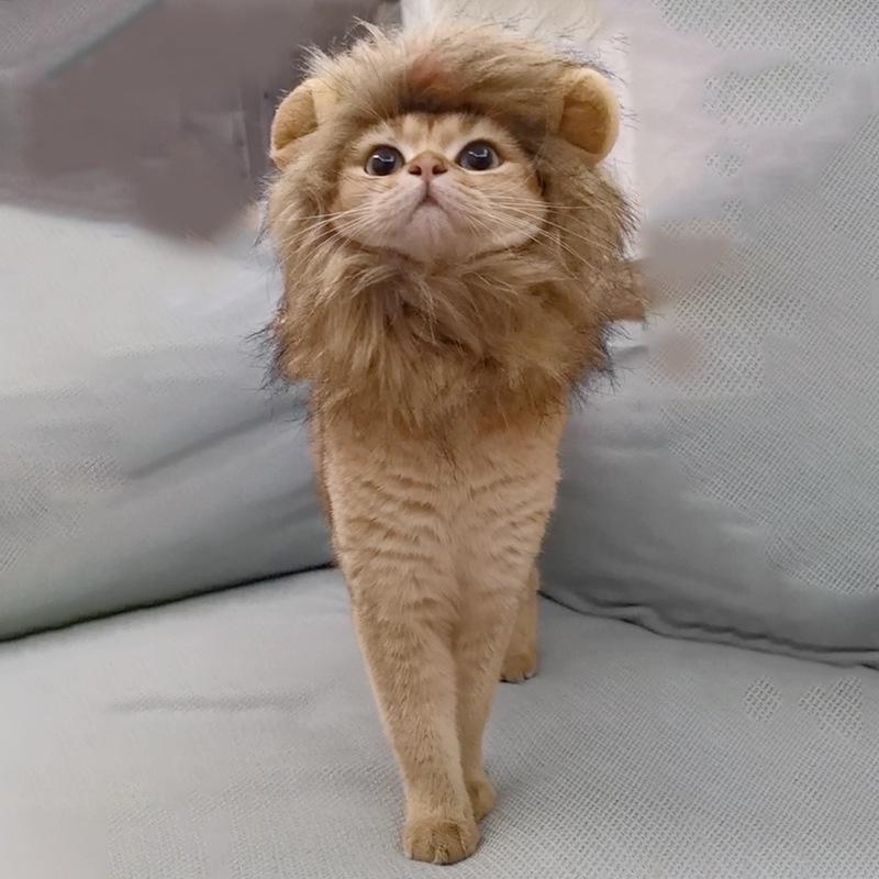 Костюм кошки, милый парик с гривой льва, шляпа для косплея, кепка, наряд для щенка, котенка, украшения для рождественской вечеринки на Хэллоуин