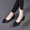 Весна и Осень новая неглубокая средняя шпилька заостренный носок женская обувь толстый каблук низкий каблук черная рабочая средний каблук универсальные одинарные туфли женские