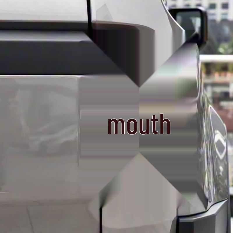 Крышка корпуса заднего фонаря Toyota Prado 24-25 - Красно-прозрачная