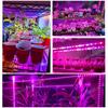 Full Spectrum Phyto Lamp USB 5V LED Grow Light Strip Tape 2835 SMD Plant Flower Led Indoor Greenhouse Seeds Cultivo Hydroponic