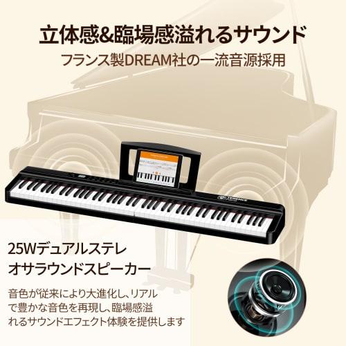 TERENCE X88E Digital Piano, 88 Keys, Foldable, 15W Dual Speaker, Progressively Weighted Keys, Authentic Touch, Grand Piano Sound, MIDI/3-Pedal Compati