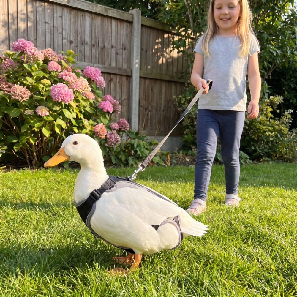 Waterproof Chicken Reflective Vest Adjustable Tightness Duck Back Protector Feather Protection