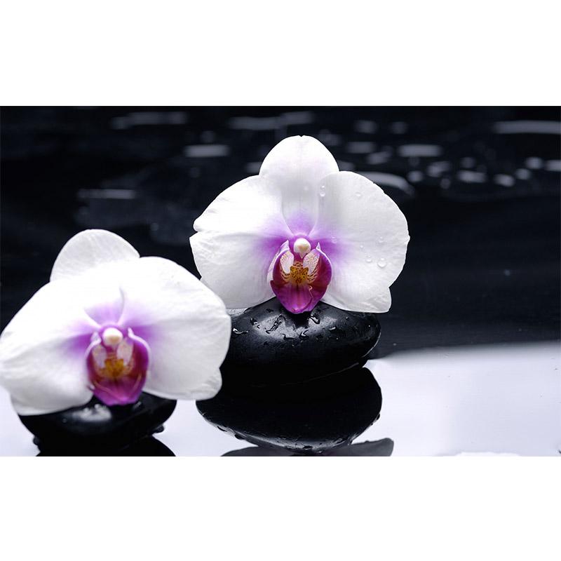 Цветок DIY 5D алмазная живопись полный круглый дрель Стразы Мозаика Орхидея Пейзаж Алмазная вышивка крестиком домашний декор