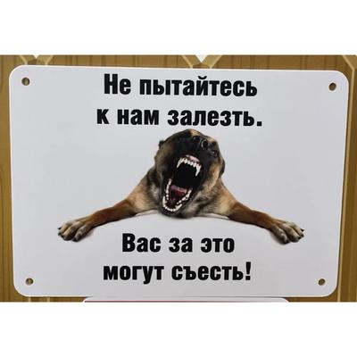 Собака может съесть смешную металлическую табличку 30x20см, Юмор о питомцах, Домашний настенный декор