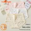 Yiershuang Women's 10A Antibacterial Cotton Briefs