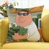Guy PPeter GriffinS   Various Sizes Square Pillow Case For Car Home Bedchamber Decor