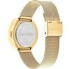 Часы Calvin Klein 25200339