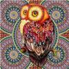 Full 5D Diy Diamond Painting Cartoon Animal Owl Diamond Embroidery Cross Stitch Home Decor Handmade