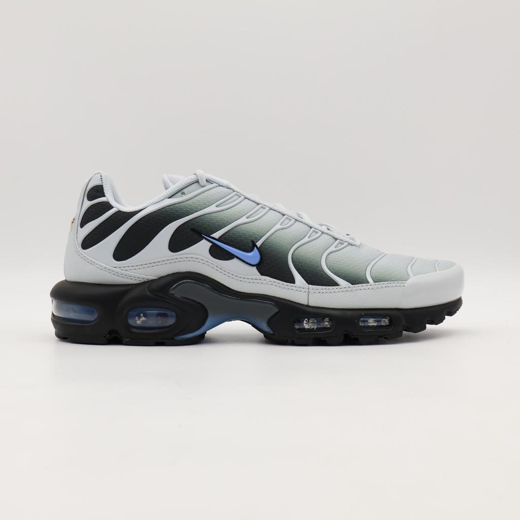 DM0032-015 Nike Air Max Plus Университетский синий (Мужской)