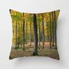 Natural World Landscape Throw Pillow Cover Sofa Decor Car Office Seat Cushion  Room Bedside   Home