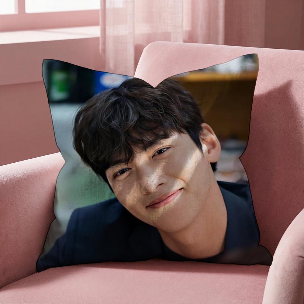 Чехол для подушки J-Ji C-Chang Wook, многоцелевой чехол для подушки для дома и автомобиля - Двусторонний, мягкий и прочный для ежедневного использования