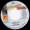 7-дюймовая пластинка AMBELIQUE I Want You HP096 Hi Power Music 2000 Ямайка Регги Ска Даб Б/у