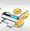 220V 100W Water Booster Pump Pressure Boosting Pump Automatic Booster Pump