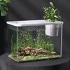 Transparent Desktop Aquarium with Lid Turtle Tank Durable Ecological Water Tank  for Home