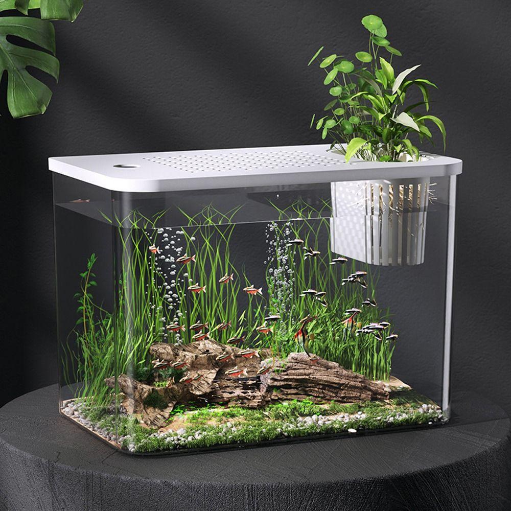 Transparent Desktop Aquarium with Lid Turtle Tank Durable Ecological Water Tank for Home