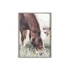 Печать постера с лошадью Современные лошади в поле Настенная живопись HD Картина на холсте Гостиная Фреска Украшение дома Подарок Cuadros