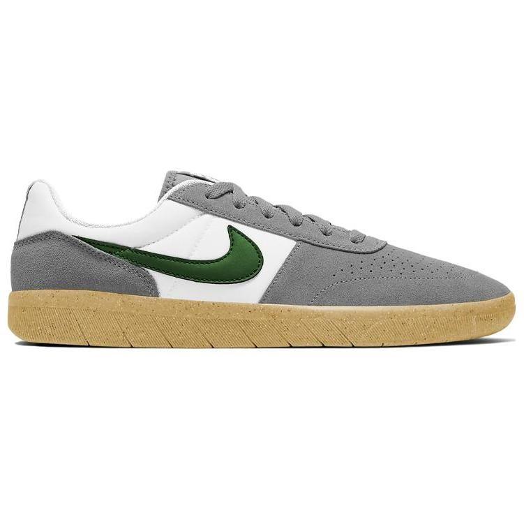 Nike Sb Team Classic Particle Grey AH3360-016