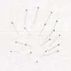 100Pcs Sharp Tip Education Lab Accessories Insect Dissections Supplies Specimen Pins Needle Pin
