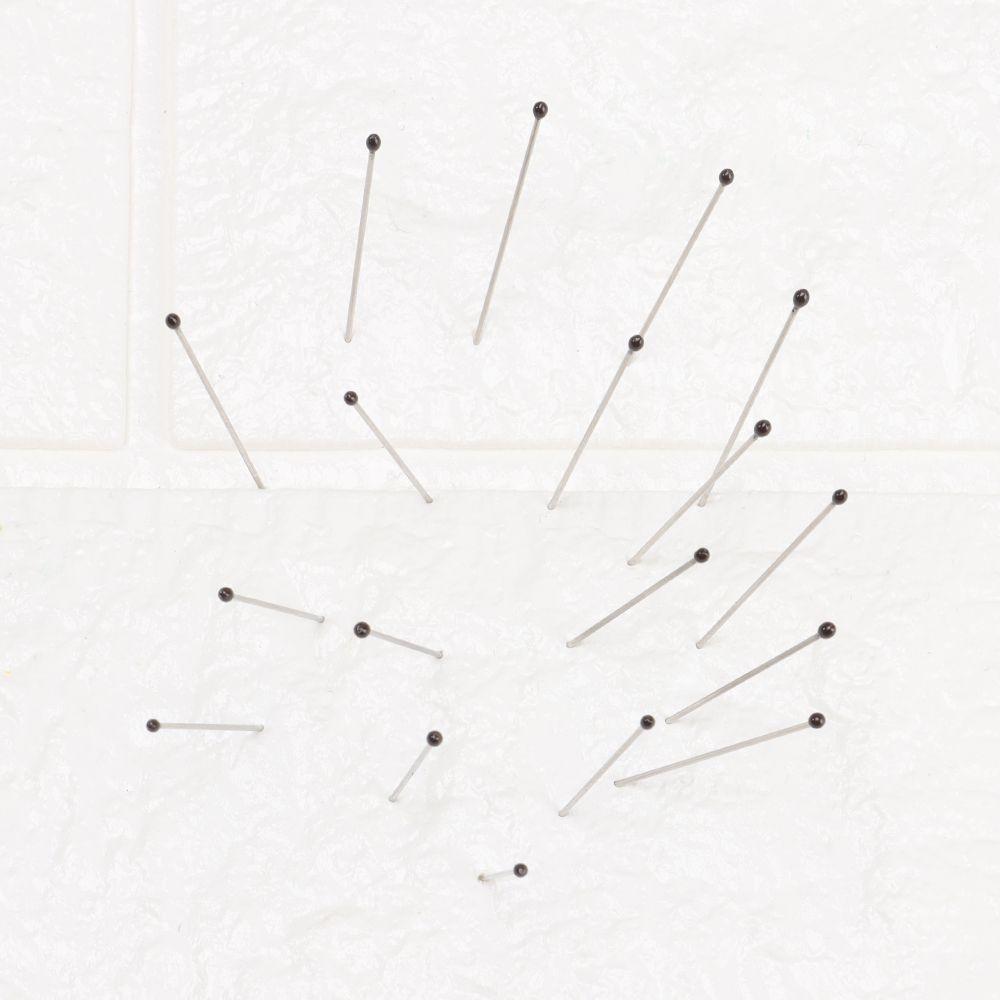 Good Flexibility Lab Accessories Education Specimen Pins Insect Dissections Supplies Needle Pin