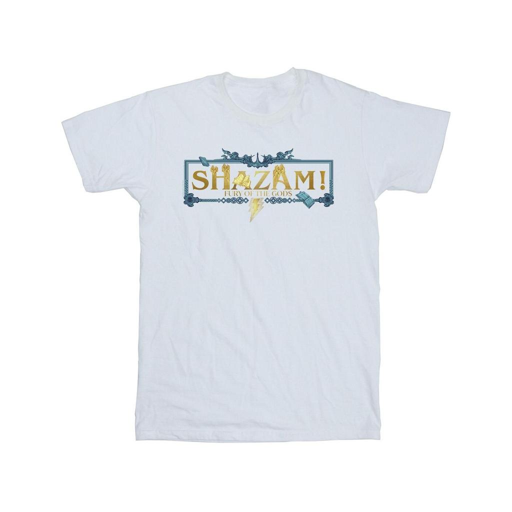 DC Comics Mens Shazam Fury Of The Gods Golden Logo T-Shirt