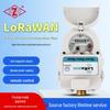 LoRaWAN GPRS Remote Water Valve & Meter for Smart IoT Communities & Homes