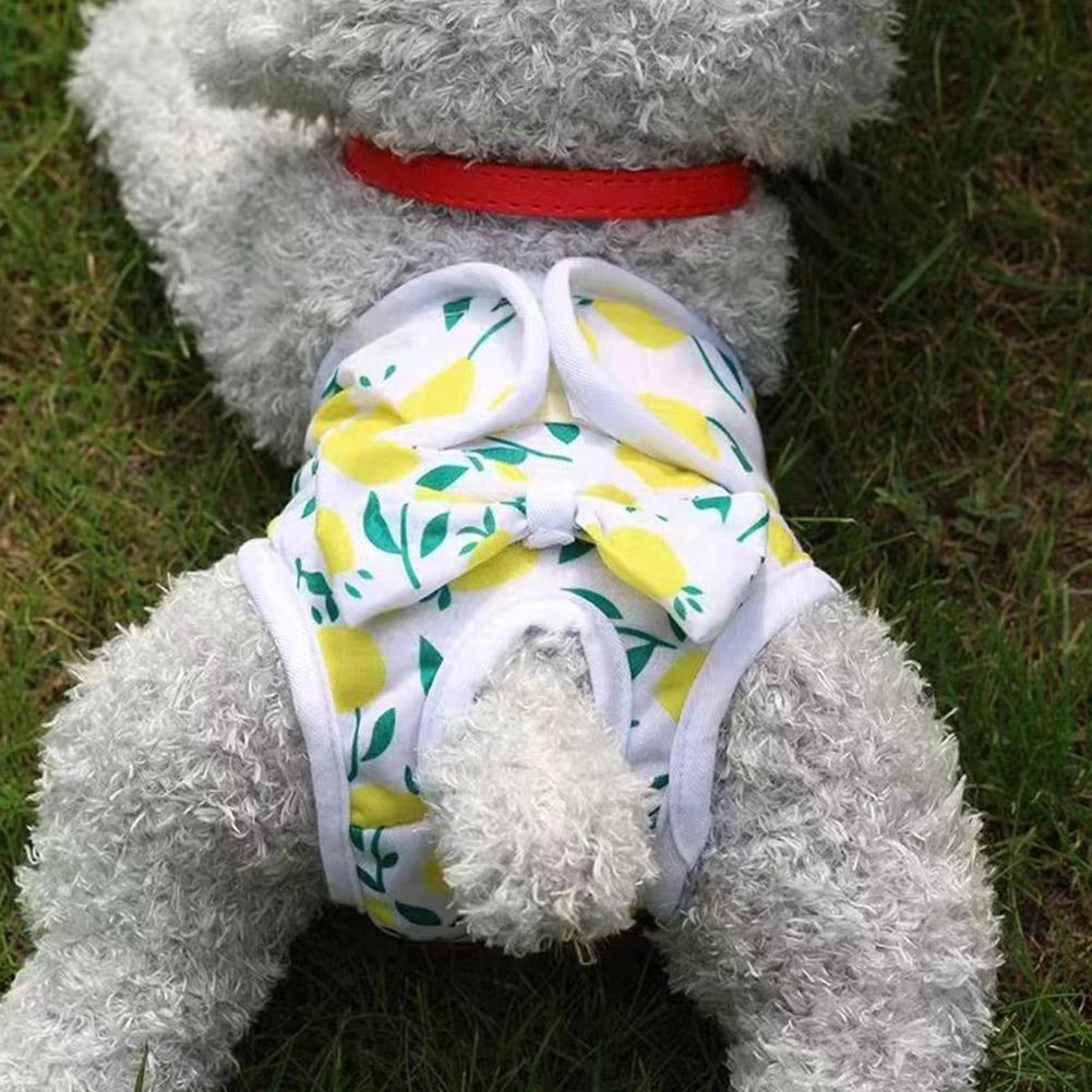 Подгузники для собак Физиологические трусы Трусики для щенков Шорты Нижнее белье Стираемые Трусики-подгузники для собак Домашнее животное Кошка Собака Физиологические Безопасные Штаны