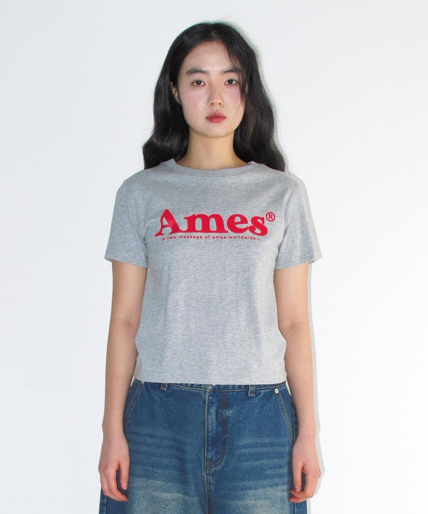 AMES-WORLDWIDE Базовая футболка с логотипом Серая