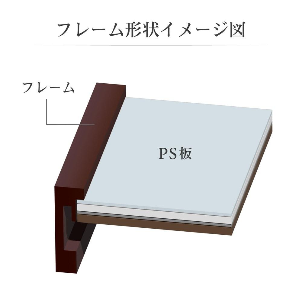 Hakuba Lightweight Zero Frame G-01 A3 Brown