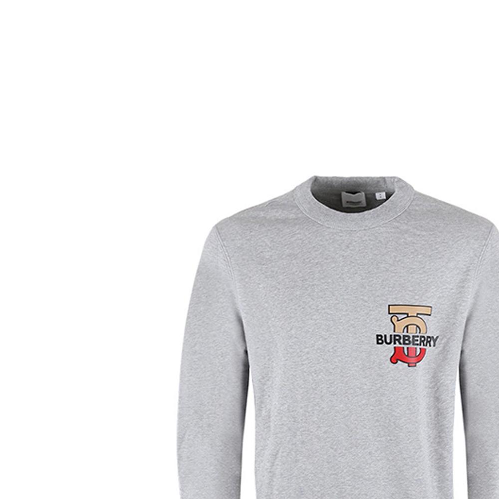 Burberry Sweatshirts Men's Gray Crew Neck Moderate Regular 80166761