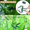 20pcs Plant Fixed Clips Reusable Garden Greenhouse Bracket Garden Plants Vine Climbing Clamp Flower Tomato Support Fastener