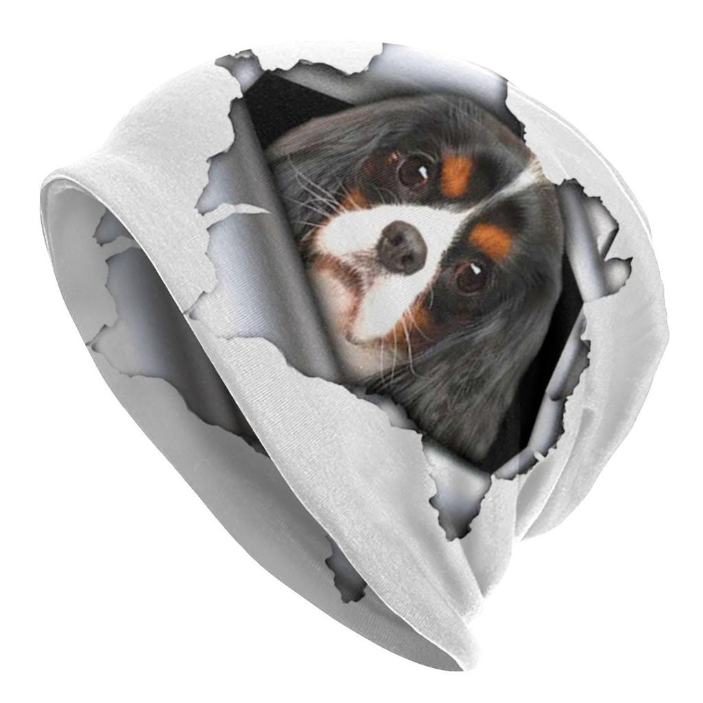 Cavalier King Charles Spaniel Bonnet Femme Hip Hop Knit Skullies Beanies Cap Women Unisex Winter Cartoon Dog Slouchy Beanie Hat