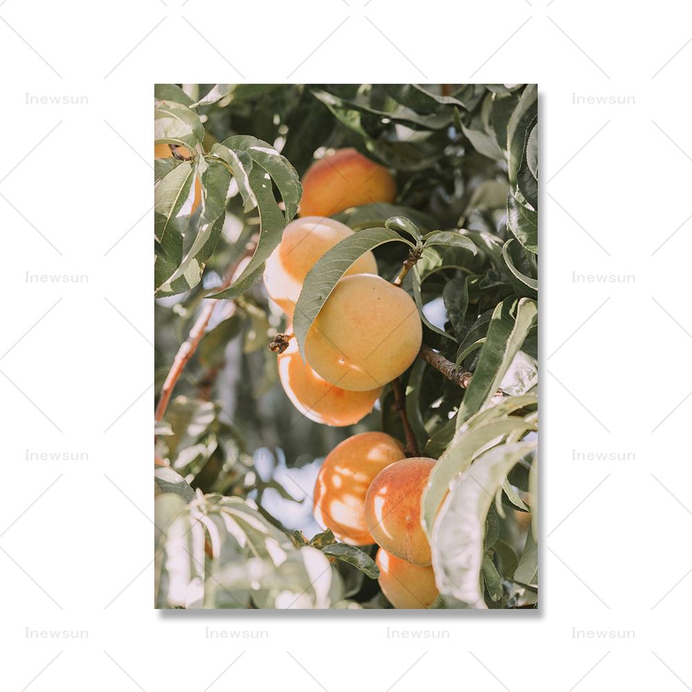 Italy Gallery Wall Art Pictures Sicily Landscape Prints Mediterranean Posters Modern Boho Travel Scenery Canvas Painting Decor