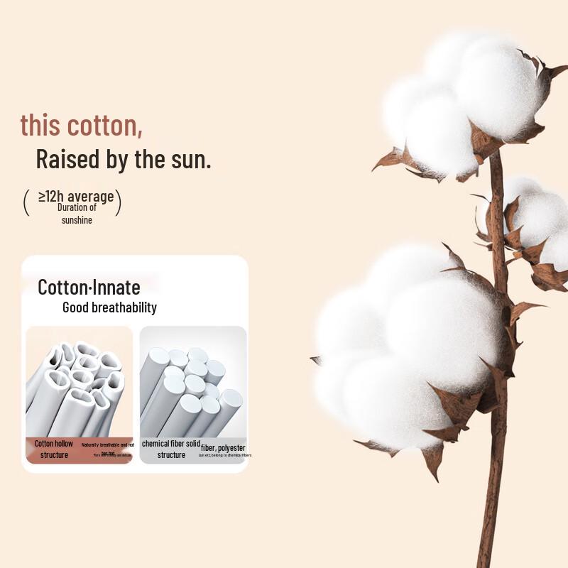 Women's Thin Cotton Thermal Underwear Set