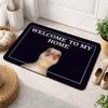 Water-absorbing Bathroom Carpet 40*60cm Bedroom Door Rug Creativity Foot Mat  Home Decor
