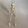 Realistic Full Body Human Bone Halloweens Props Flexible Joints Portable Plastic Indoor Outdoors Decoration