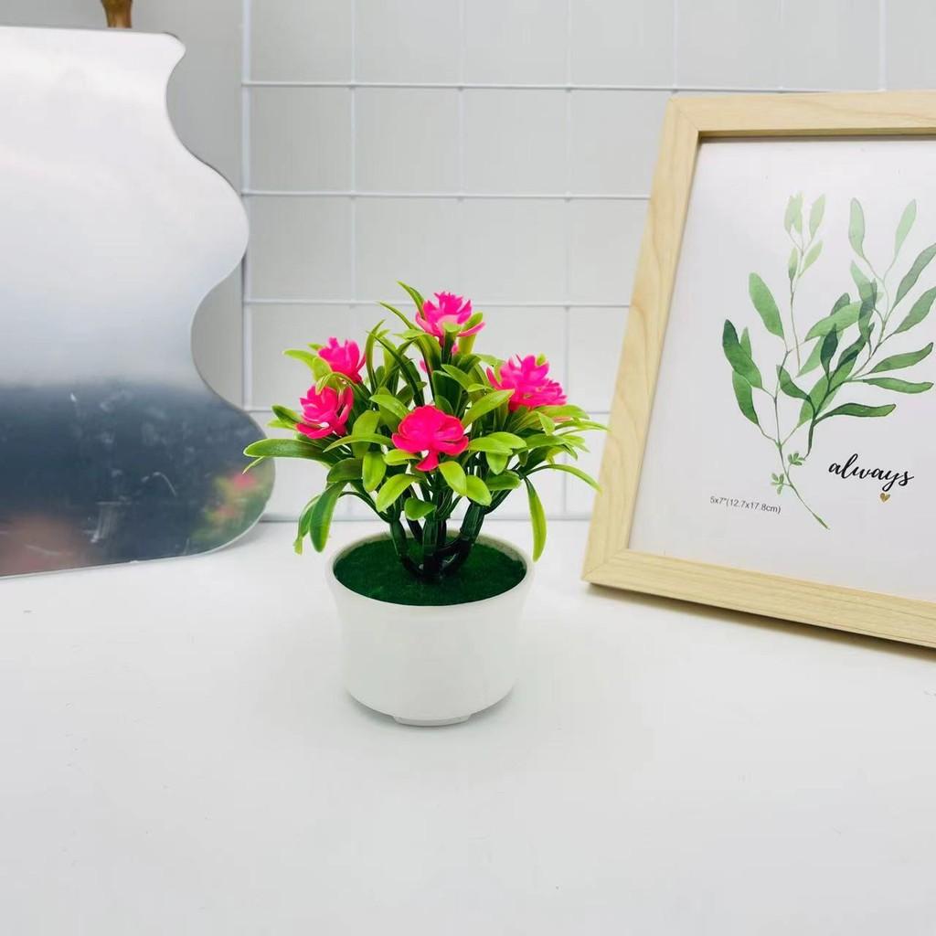 Sasanqua Camellia Artificial Bonsai For Photography Backdrops And Decor Indoor