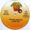 12inch Record ANTHONY CRUZ - Love Will Never Die HBLP0126 Heavy Beat 1995 US Reggae, Ska & Dub