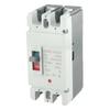 Solar Energy 2P DC Circuit Breaker MCCB Molded Case Rated Current 125A Rated Voltage 600V DC for Battery Systems