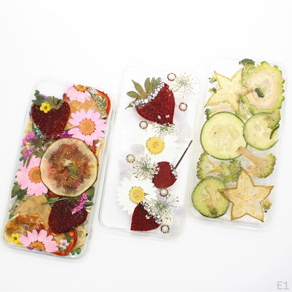 12 штук прессованных сухих цветов, листьев папоротника, альбомы для рукоделия своими руками